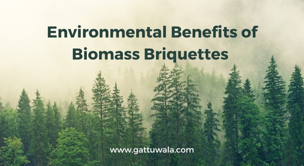 Benefits of biomass briquettes - Gattuwala Top 5 Environmental Benefits of Biomass Briquettes