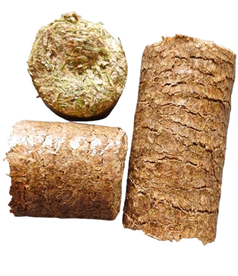 BIOMASS BRIQUETTE