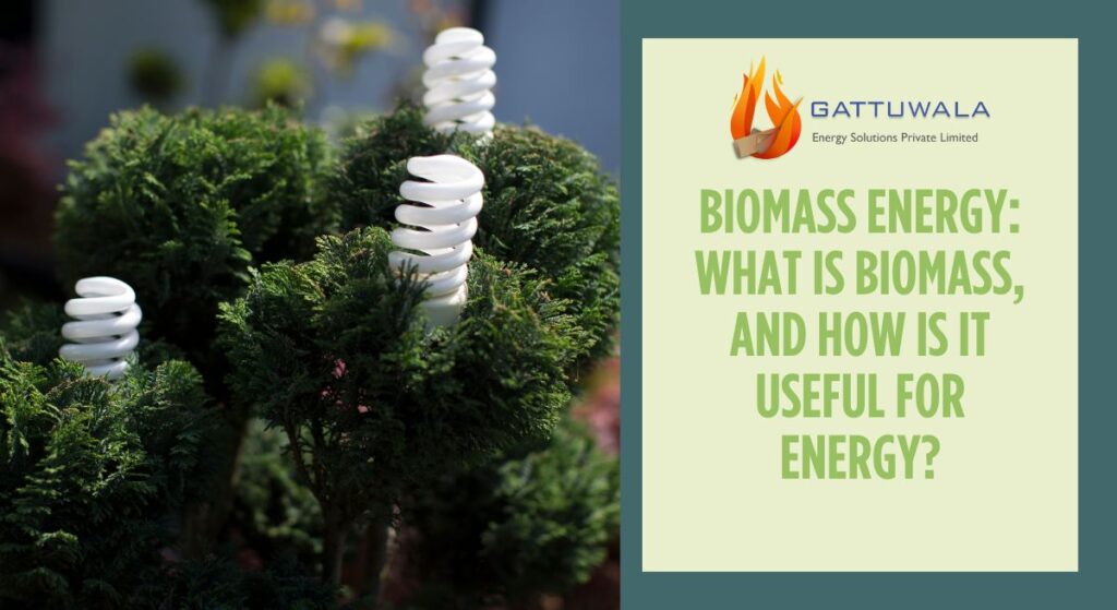 Biomass for energy