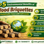 Top 5 Environmental Benefits of Wood Briquettes – Future with Gattuwala