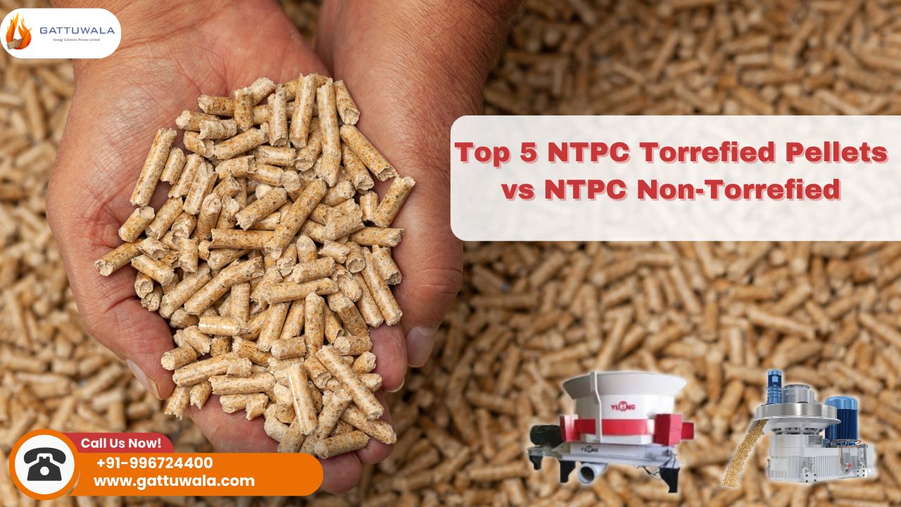 Top 5 NTPC Torrefied Pellets vs NTPC Non-Torrefied