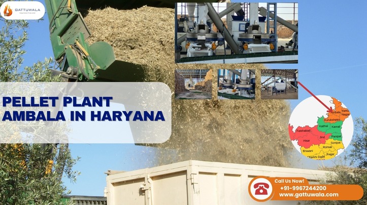 Pellet Plant Ambala in Haryana – Setup, Suppliers & Prices