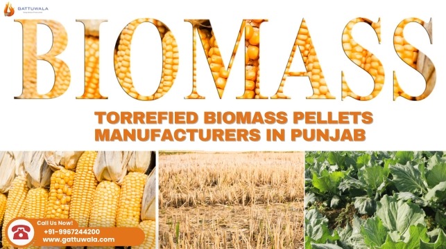 Torrefied Biomass Pellets Manufacturers in Punjab