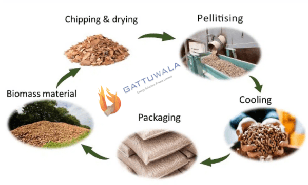 Biomass Pellet Technology, Productions & Applications