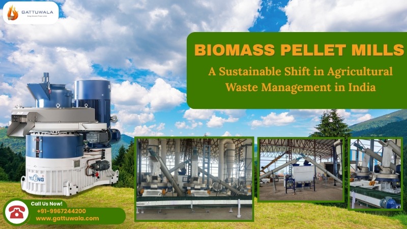 BIOMASS PELLT MILL