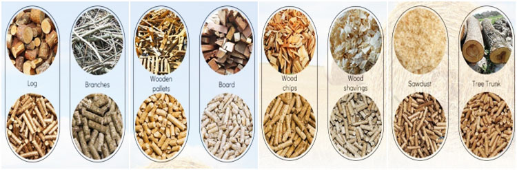 Agriculture Waste to Biomass Pellet