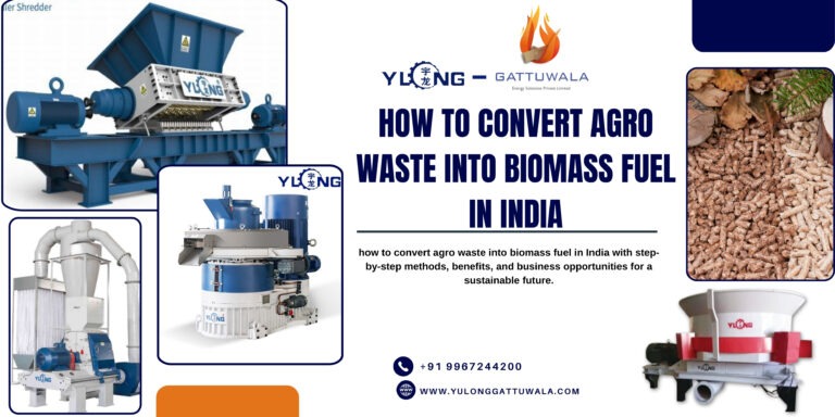 how to convert agro waste into biomass fuel in India