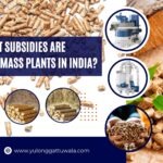 What Government Subsidies Are Available for Biomass Plants in India?