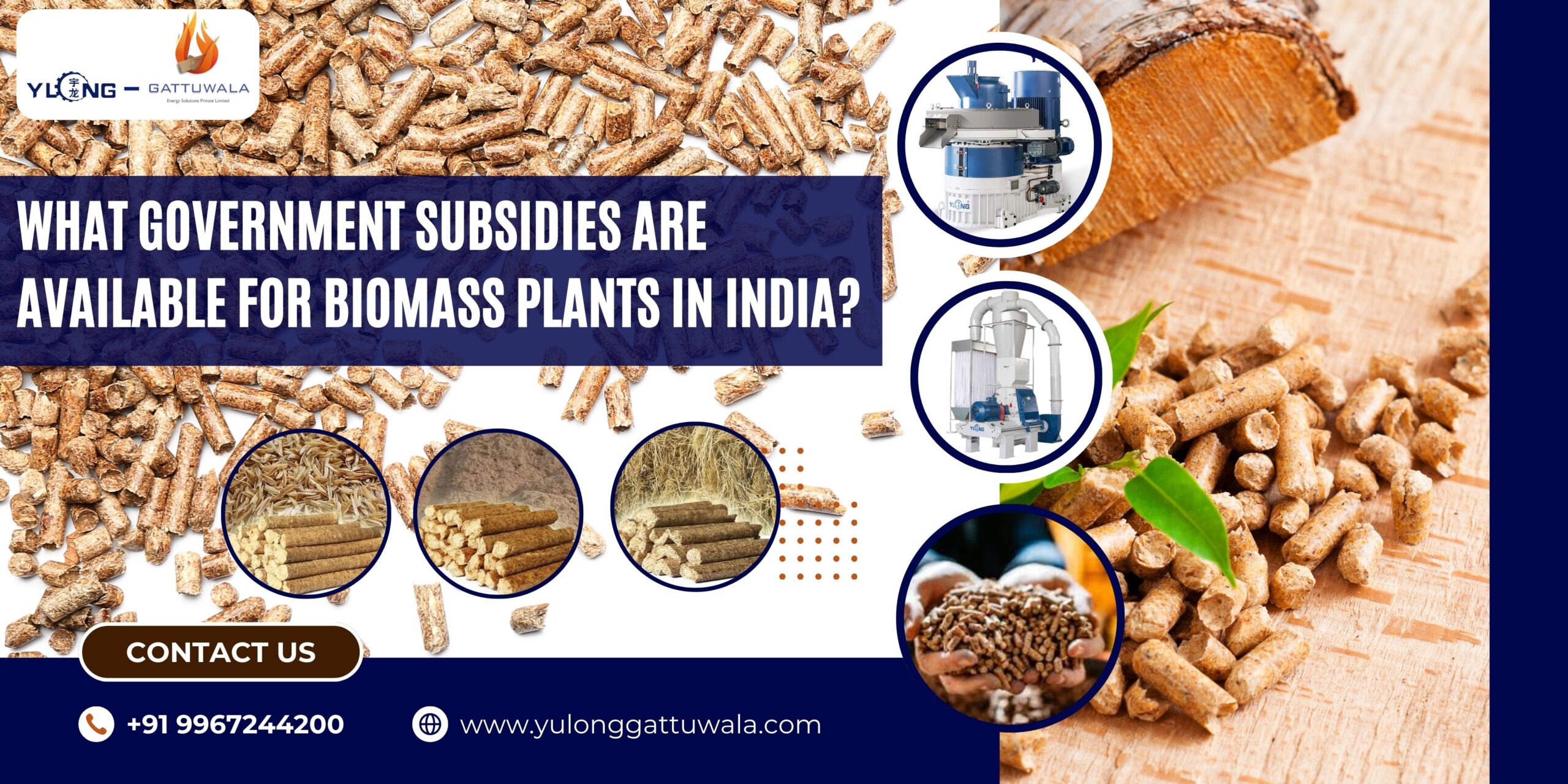 What Government Subsidies