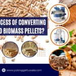 What is the Process of Converting Agro Waste into Biomass Pellets?