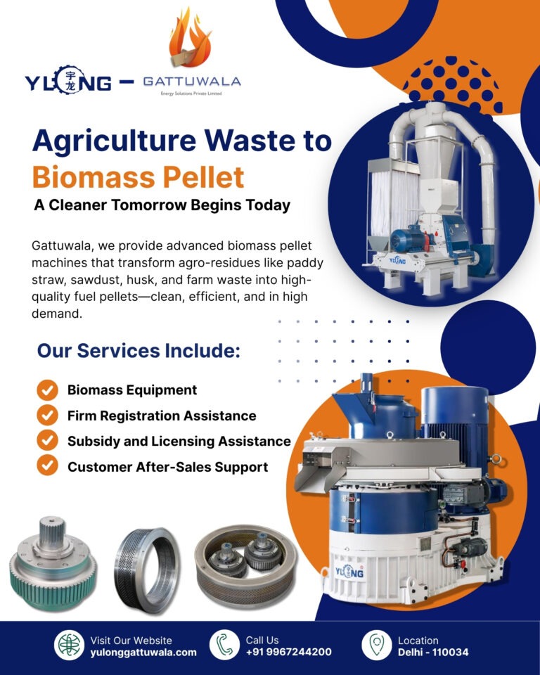 Biomass Pellet Machines in China