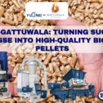 How Do Biomass Pellets Reduce Carbon Emissions? | Clean Energy & Climate Benefits Explained