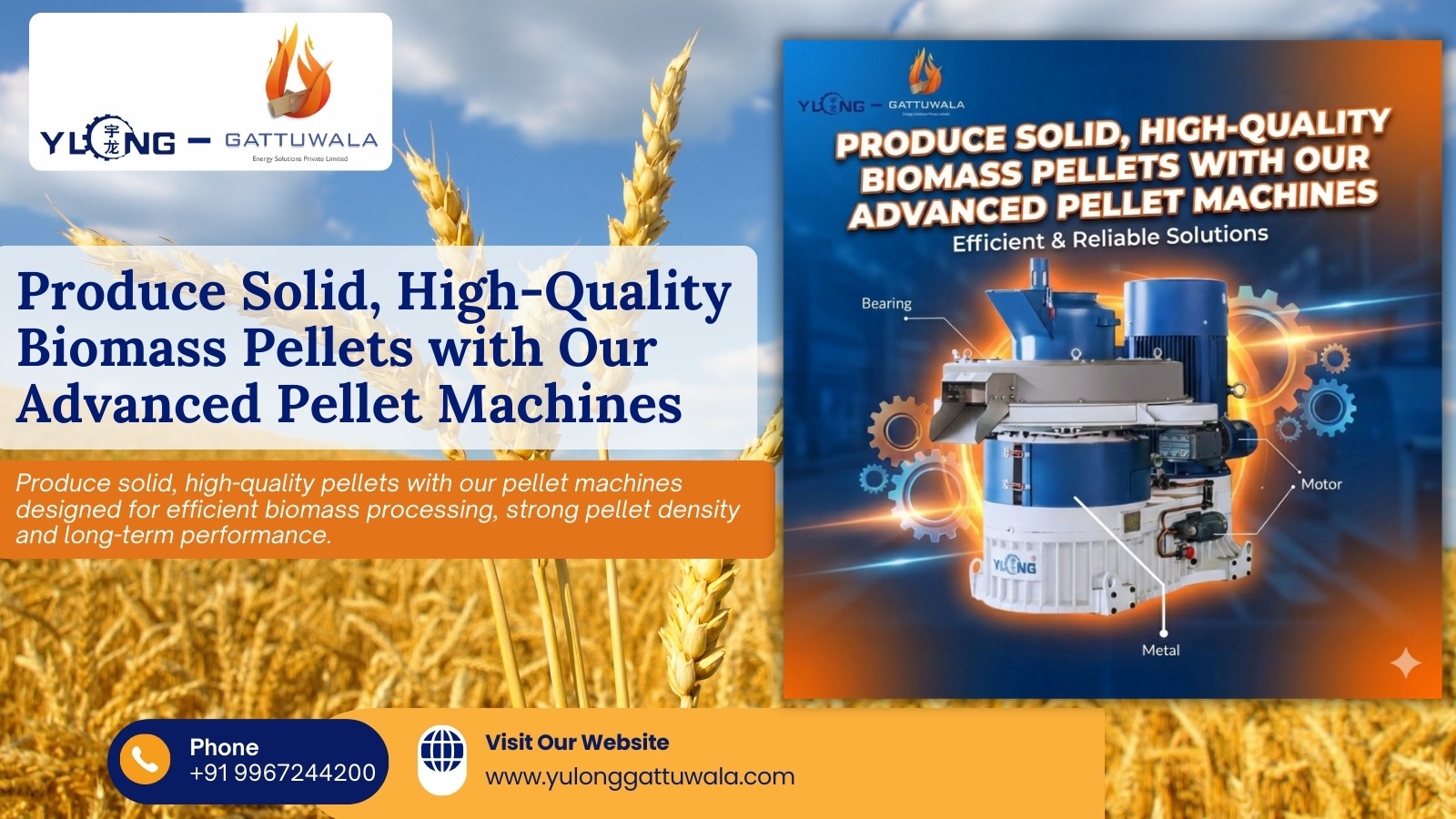 Produce solid high-quality pellets with our Pellet