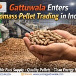 Gattuwala Enters Biomass Pellet Trading in India