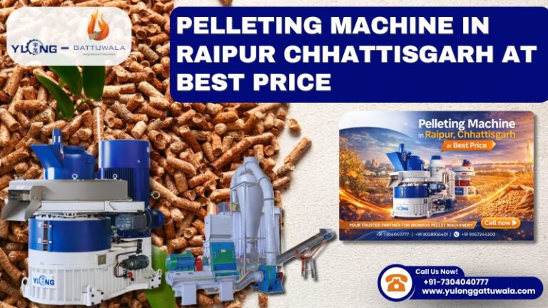 Pelleting Machine in Raipur Chhattisgarh