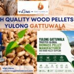 Buy High Quality Wood Pellets from Yulong Gattuwala
