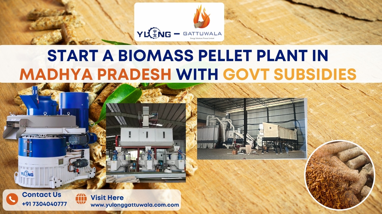 Start a Biomass Pellet Plant in MP