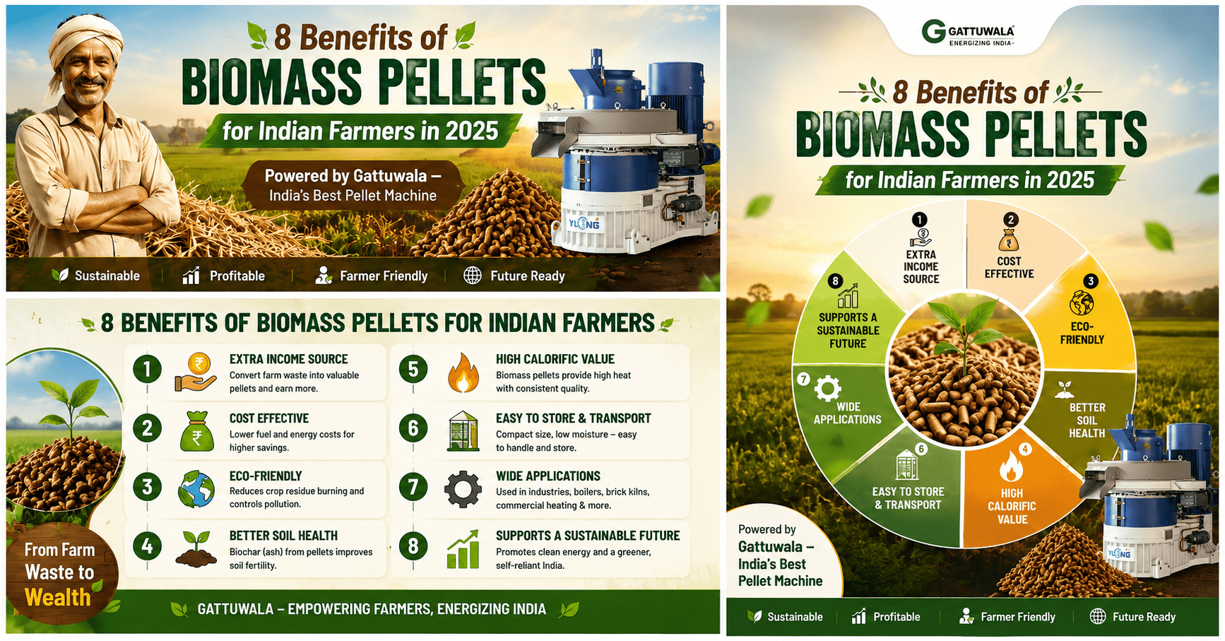 Biomass Pellet Machine